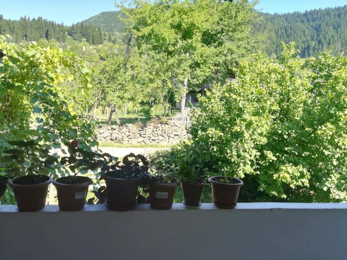 Гостевой дом Txilaziri Guest House Khulo