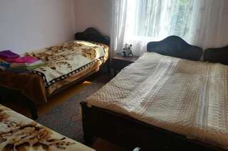 Гостевой дом Txilaziri Guest House Khulo Бюджетный двухместный номер с 1 кроватью или 2 отдельными кроватями-1